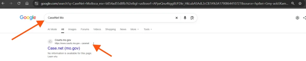 Open the Official MO CaseNet Website