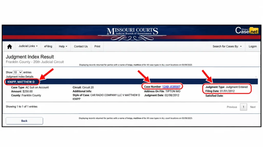 Judgment Index result showing Case Number, Judgment Type, and Filing Date fields